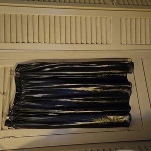 Ladies dressy silver skirt.